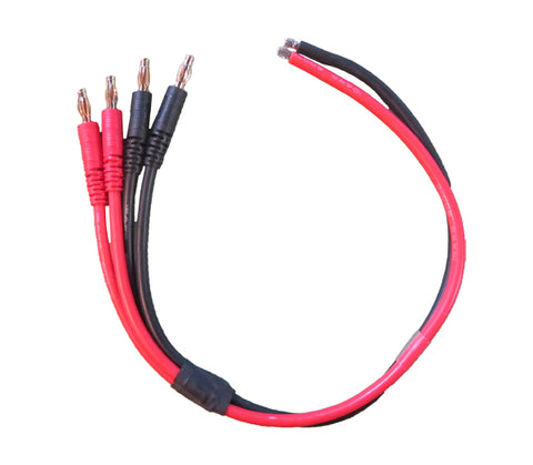 iCharger Duo Sync Mode Charge Cable